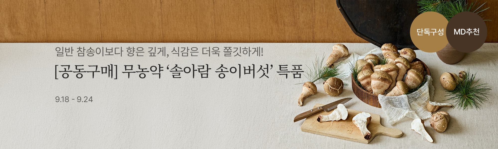 9/18 솔아람송이 스토어홈