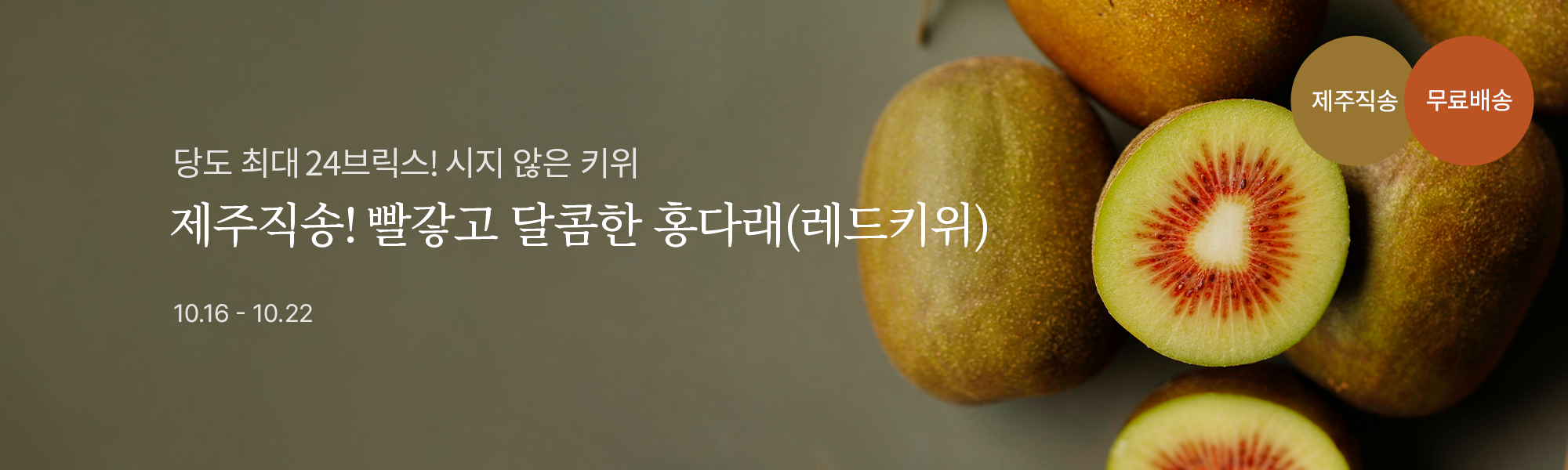 10/16 홍다래 스토어홈
