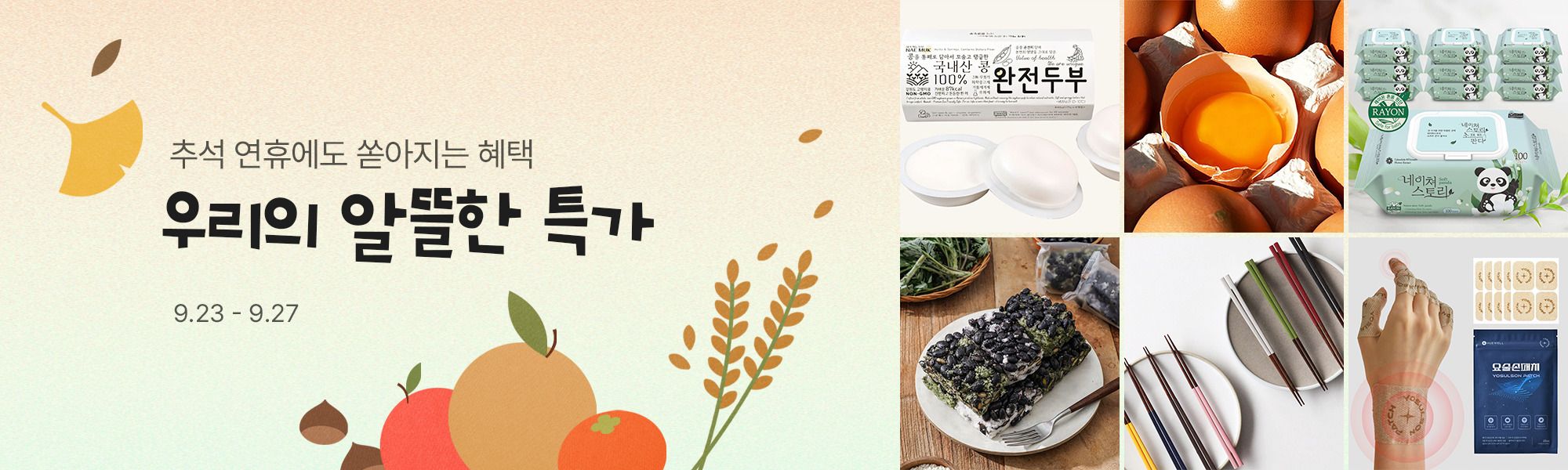26년 9월 알뜰한 특가