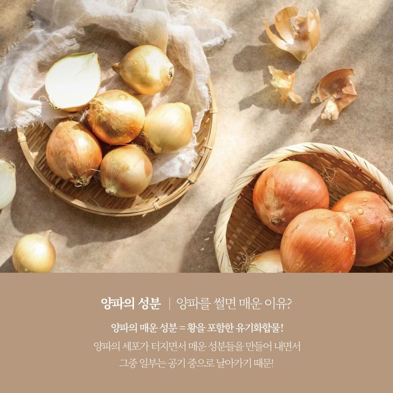 양파를 먹는 가장 좋은 방법 1