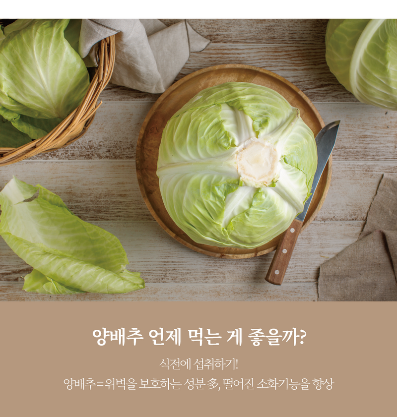 ‘위’에 좋다는 양배추! ‘위’에만 좋은 것이 아니다?