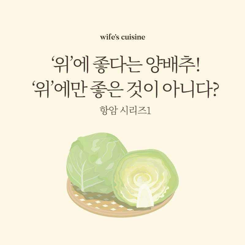 ‘위’에 좋다는 양배추! ‘위’에만 좋은 것이 아니다?