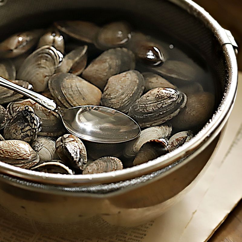 바지락 해감법