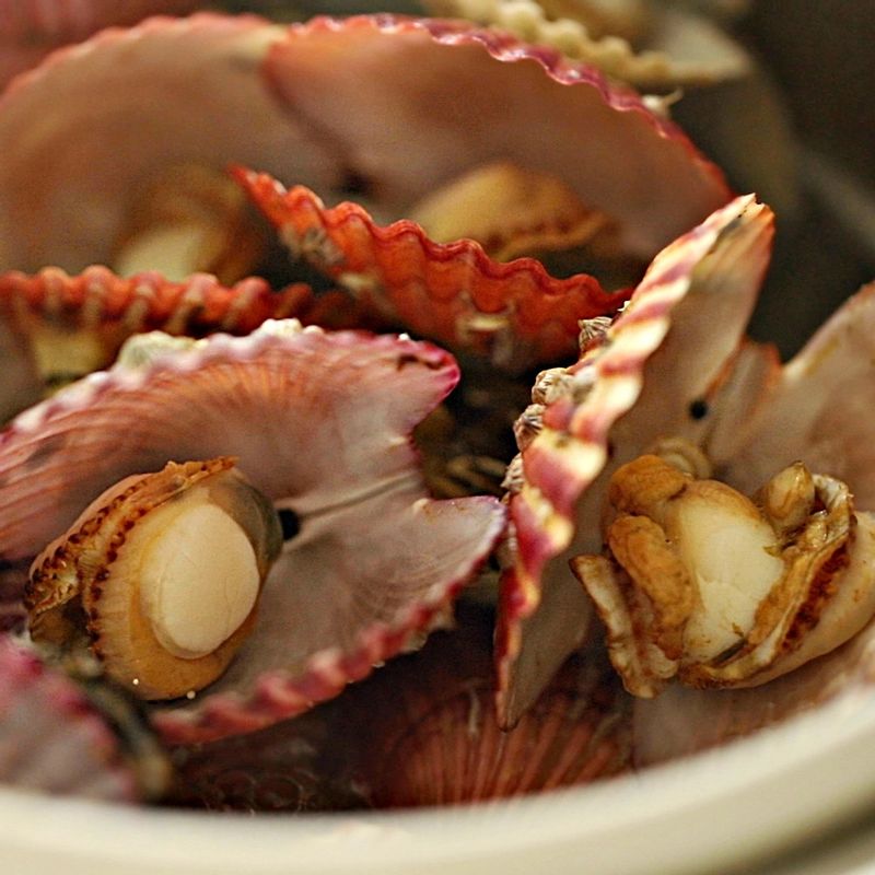 가리비 찌는 법