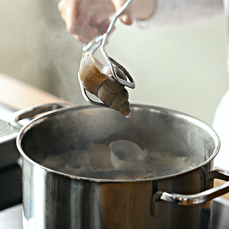 골뱅이 삶는 법