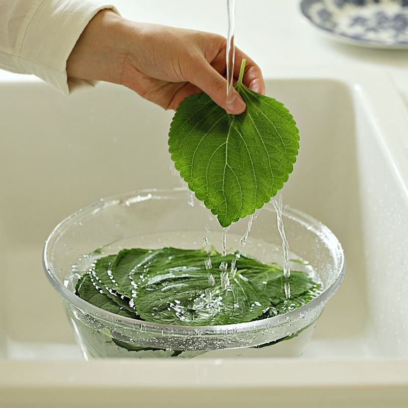 깻잎 보관법