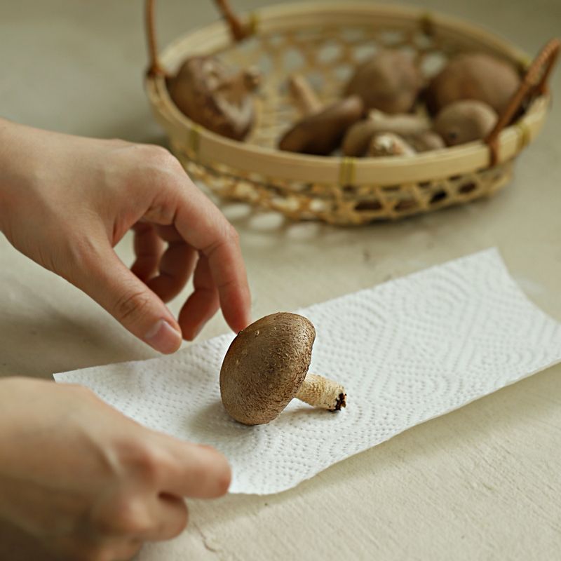 표고버섯 보관법