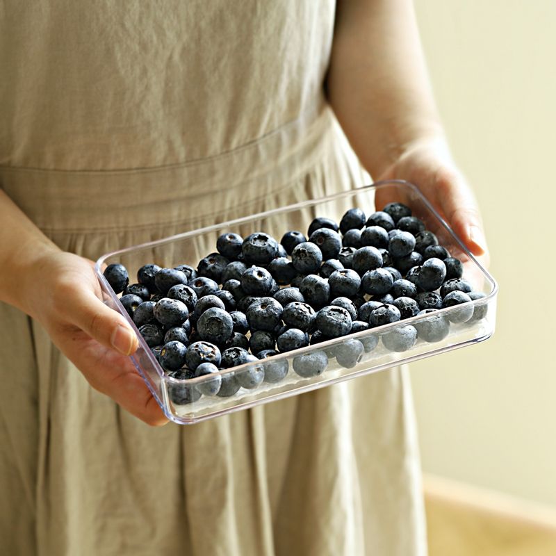 블루베리 보관법