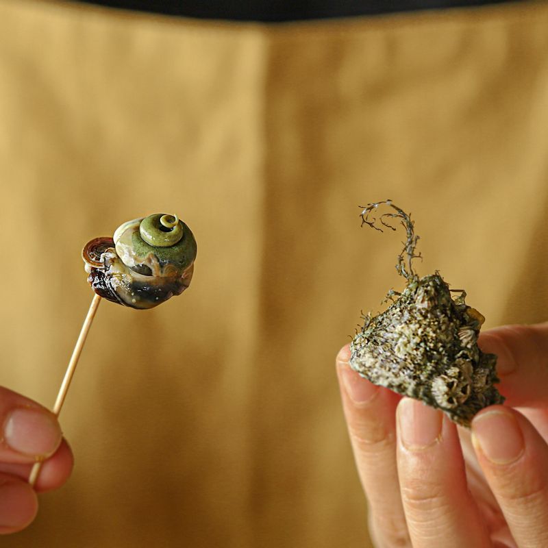 바다고동 삶는 법