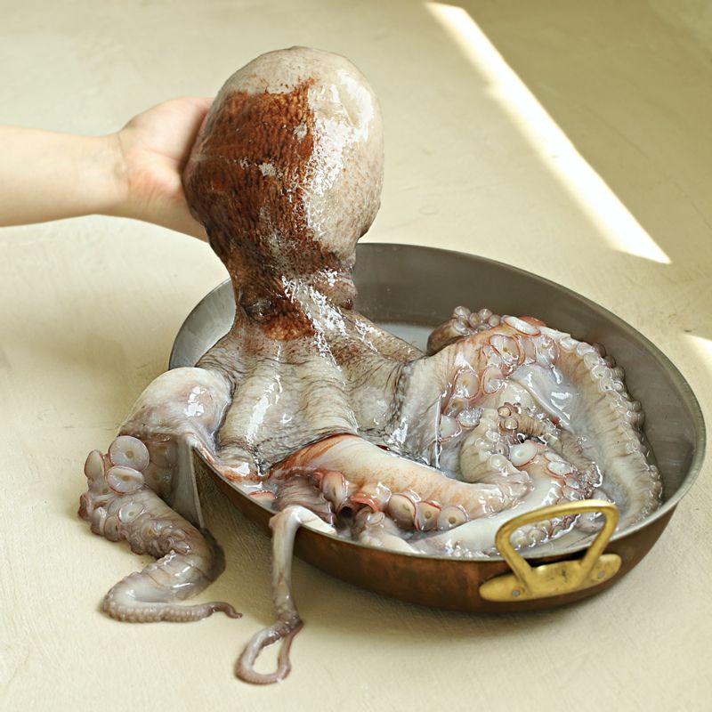 문어 보관법