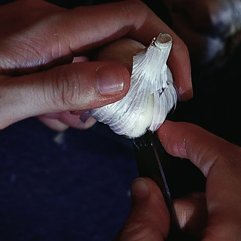 통마늘 쉽게 까는 법