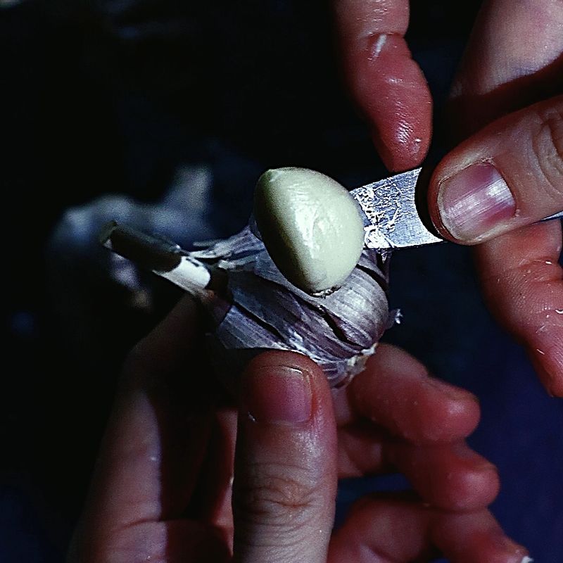 통마늘 쉽게 까는 법