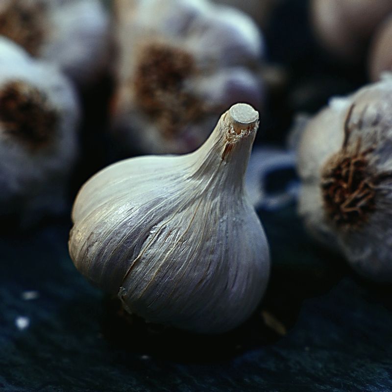 통마늘 쉽게 까는 법