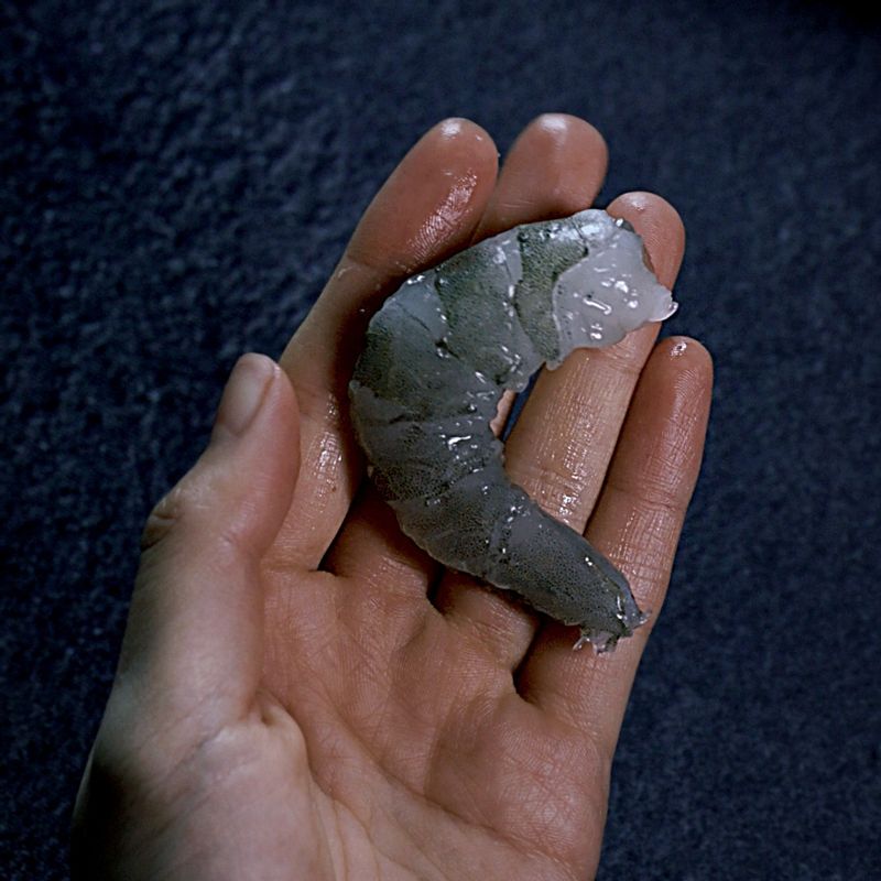 새우 껍질 쉽게 까는 법