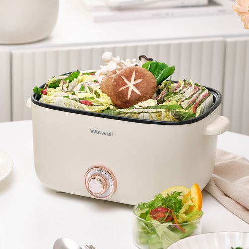 위즈웰 멀티쿠커 전기그릴 전기찜기 전기냄비 WMG2025