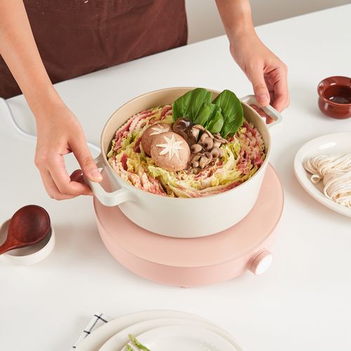 단미 1구 인덕션 프리미엄 컬러 전기레인지 원형 인덕션 DA-IN03C