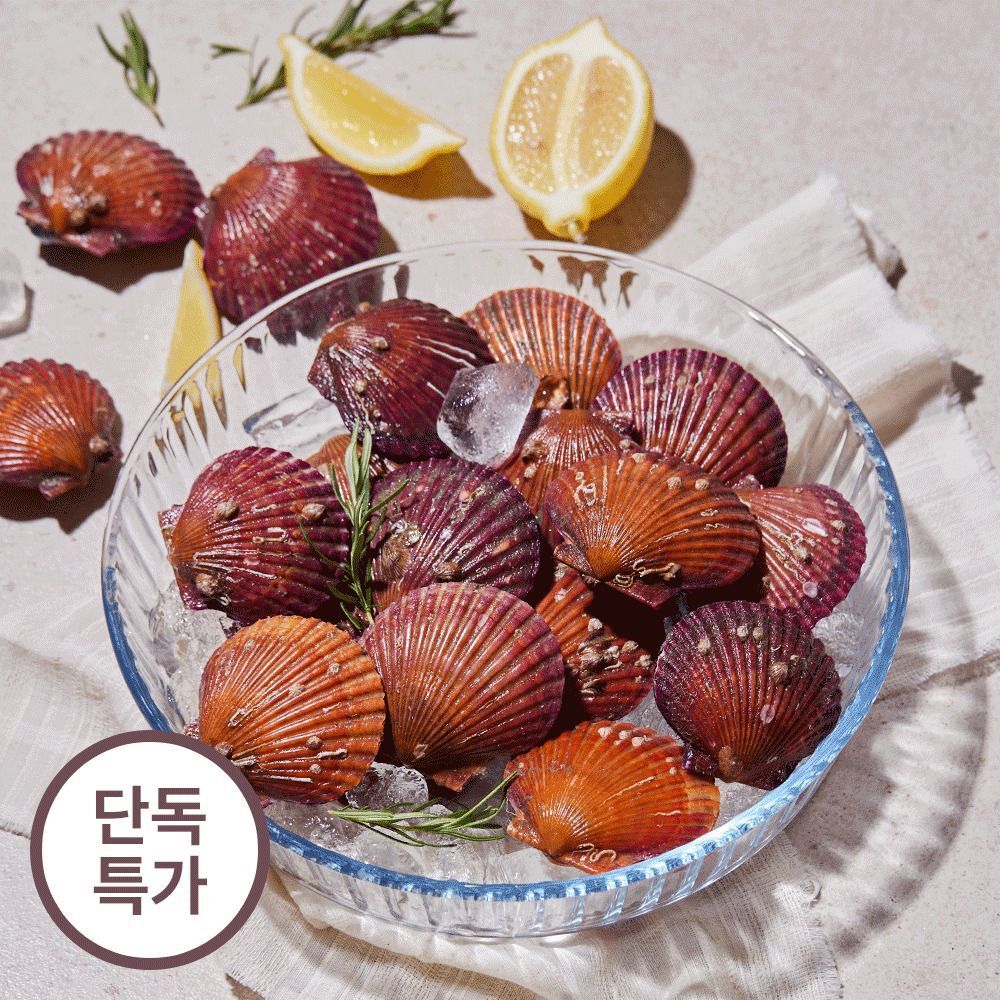 통영직송 홍가리비 / 황금가리비 (1kg / 2kg 옵션)