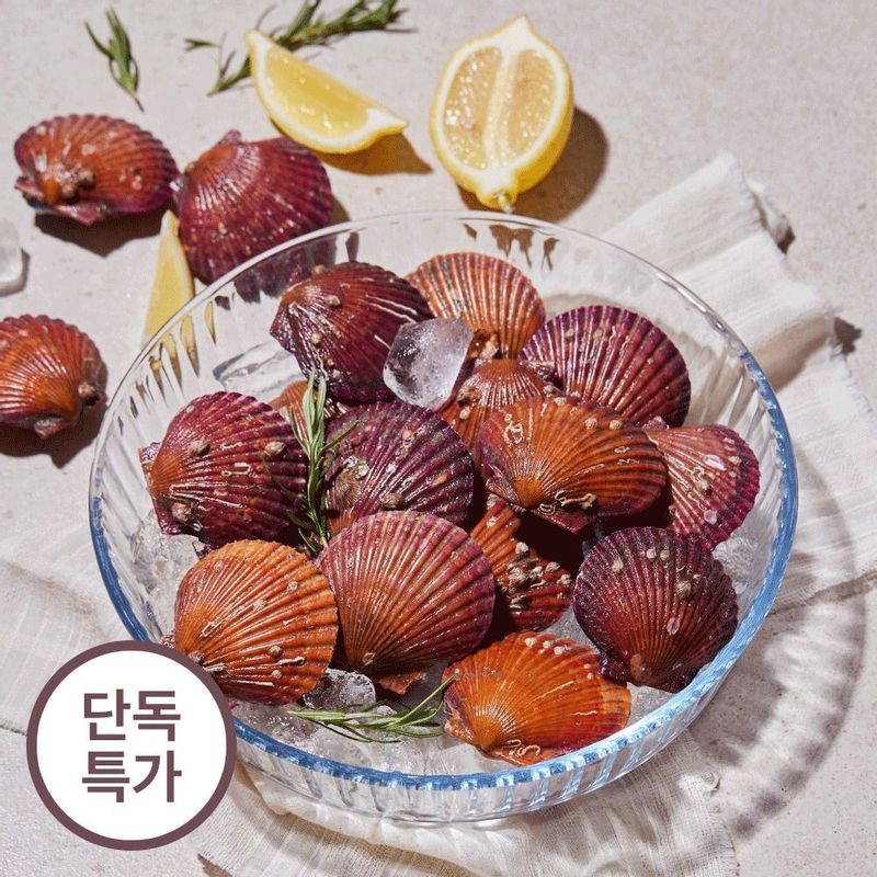 통영직송 홍가리비 / 황금가리비 (1kg / 2kg 옵션)