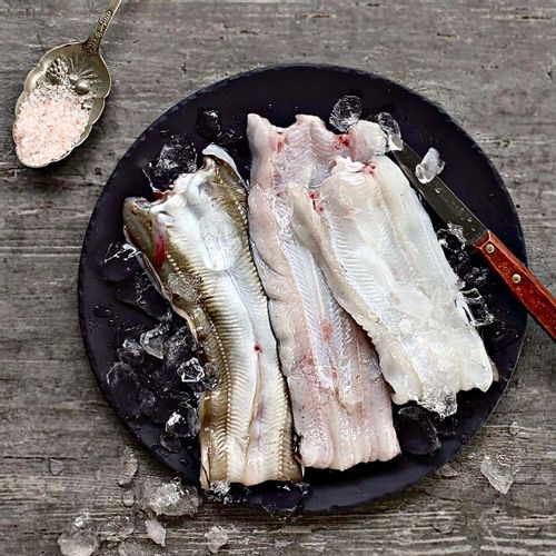 통영 자연산 통통 바다장어(1kg 내외 / 2~3미 포함)