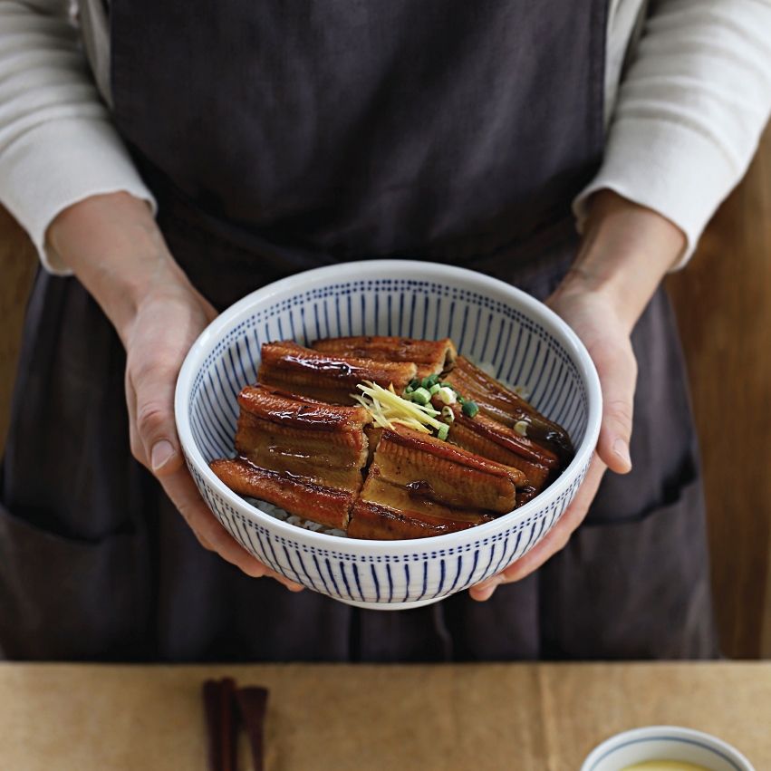 통영 자연산 통통 바다장어(1kg 내외 / 2~3미 포함)