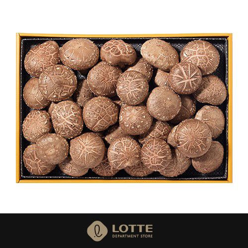 그리운 마음을 담아