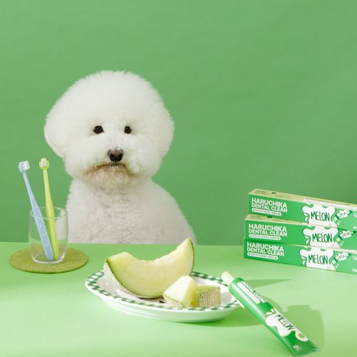 펫생각 하루치카 덴탈클린 바르는 입냄새 치석 제거 강아지 치약 메론향 60g