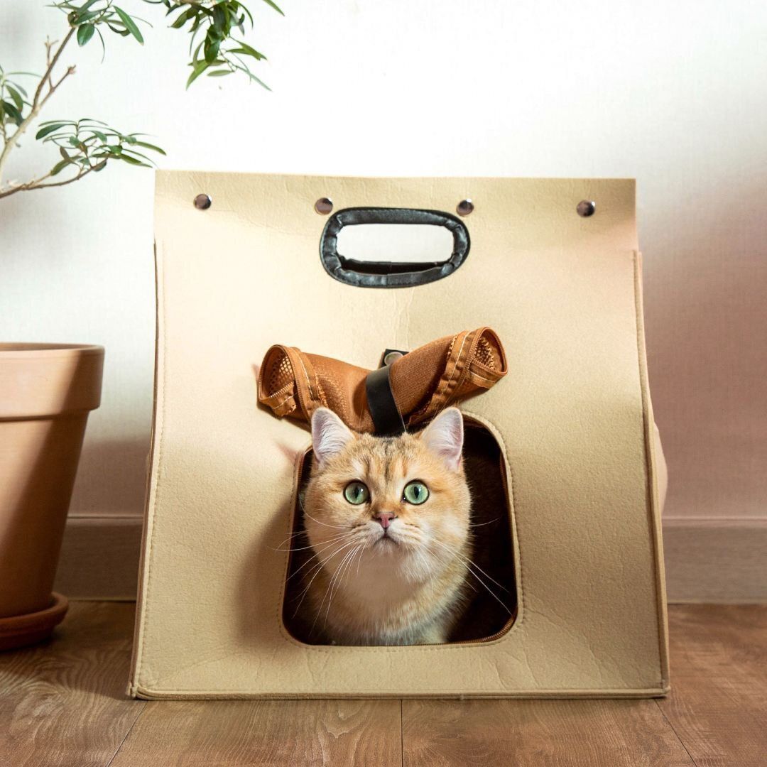 [페슬러] 펫프렌즈 ENOUGH 5 고양이 숨숨하우스