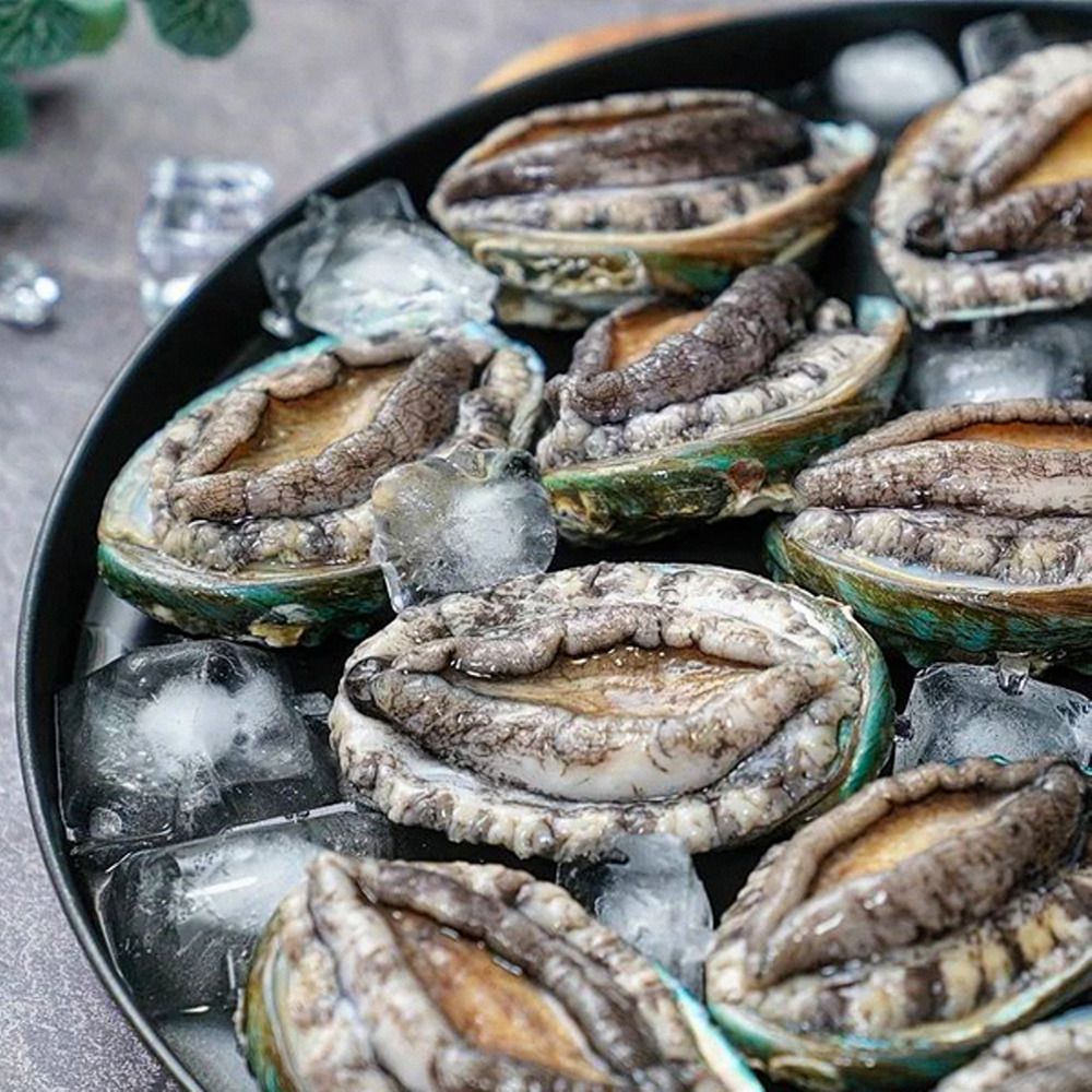 청정바다 완도직송! 산소 포장으로 신선하게 보내드려요!