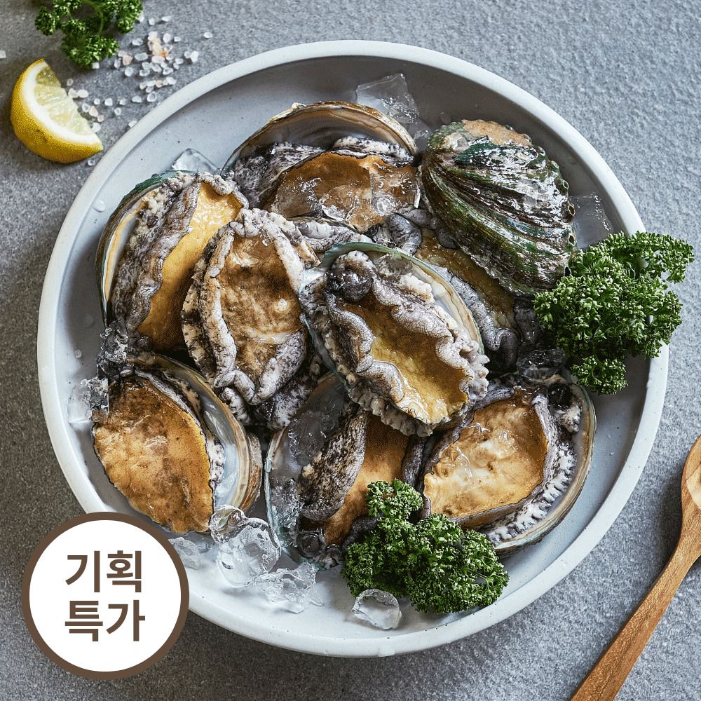 [기획특가] 완도직송 초신선 활전복 1kg (+전복손질칼 증정)
