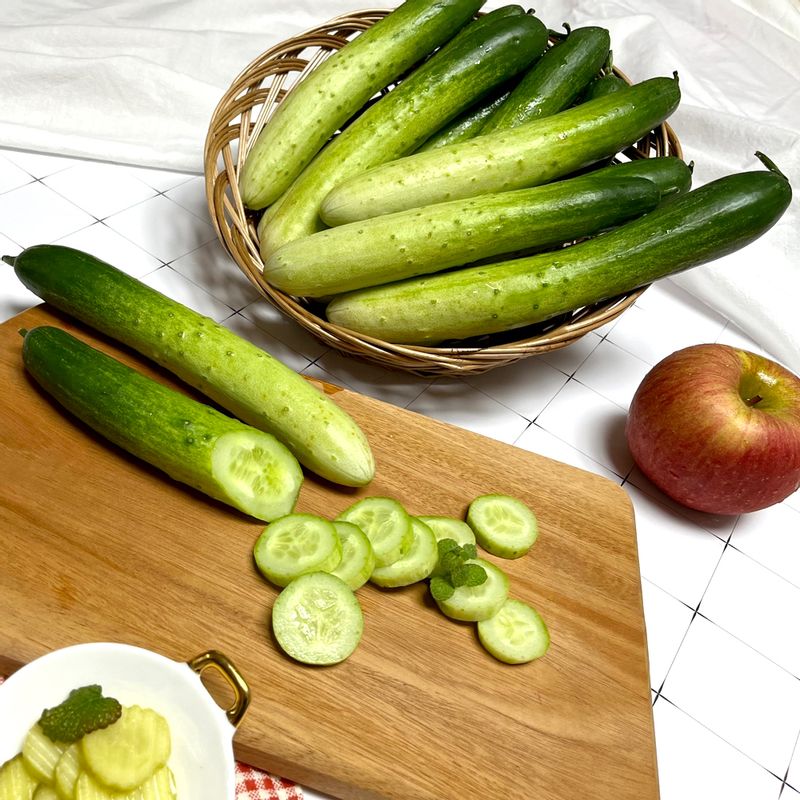 산지직송 고흥 백다다기 오이 1kg 2kg 3kg 5kg 10kg