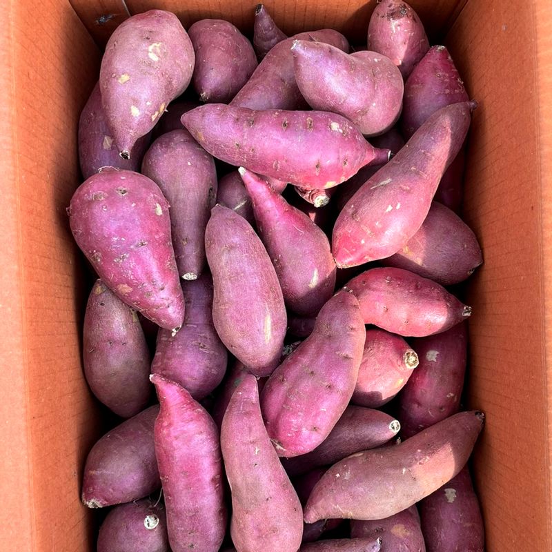 산지직송 국내산 꿀 고구마 3kg 5kg