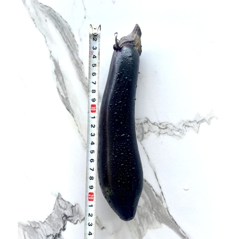 산지직송 여주 금보라빛 가지 1kg 3kg 5kg