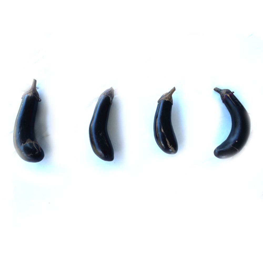 산지직송 금보라빛 못난이가지 1kg 3kg 5kg