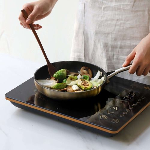 ELO 인덕션 전기레인지