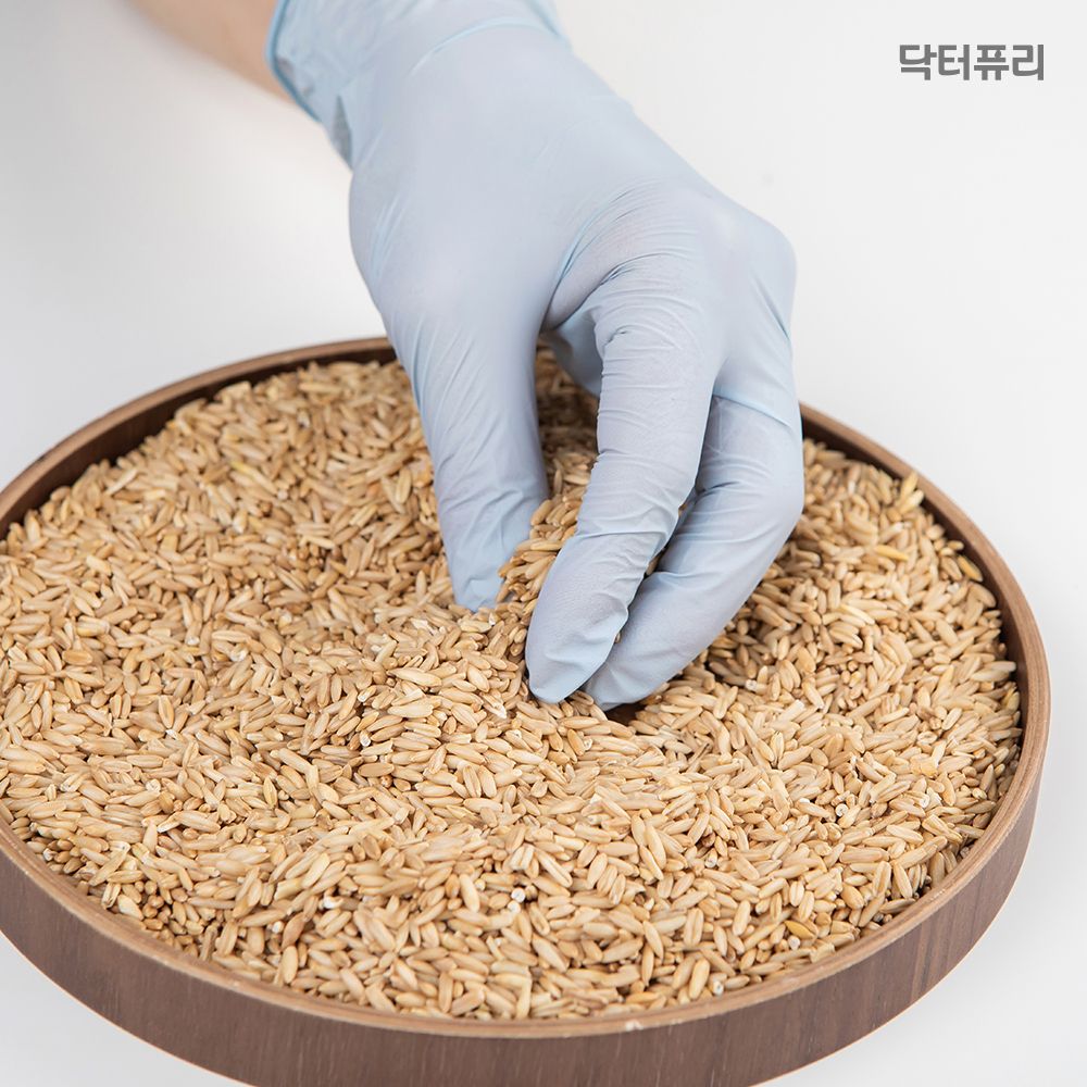 닥터퓨리 습진제로 귀리코팅 니트릴장갑 100매 x 2개 (총 200매)