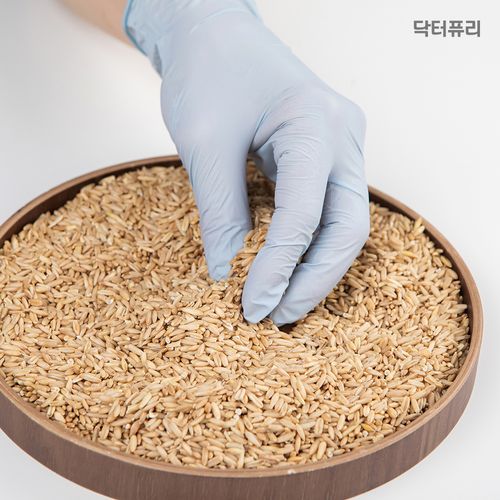 닥터퓨리 습진제로 귀리코팅 니트릴장갑 100매 x 2개 (총 200매)