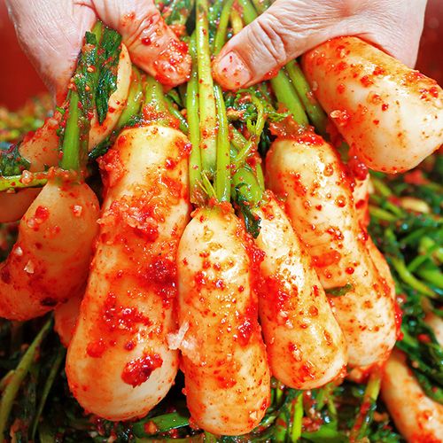 아삭하고 진한 감칠맛 알타리김치 1kg+1kg 추가증정 (총 2kg)