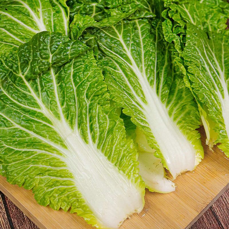 지금이 딱! 제철인 국내산 진도 봄동 1kg