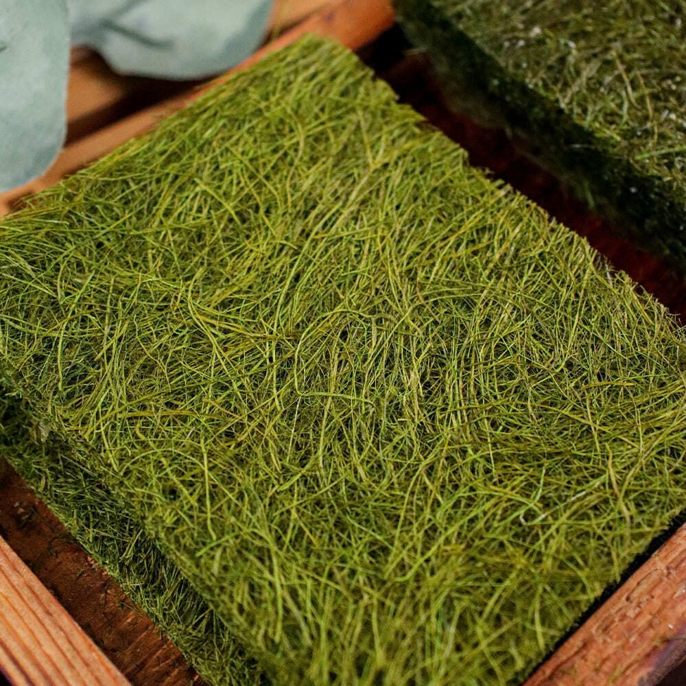 서산 50년 전통 수제 명품 햇 생감태,구운감태