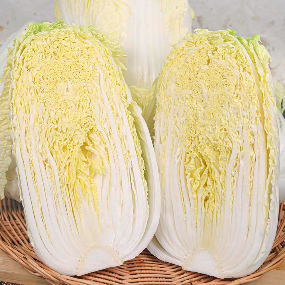 아삭하고 싱싱한 진도 속이 꽉 찬 알배추 3통 (2.5kg 내외)