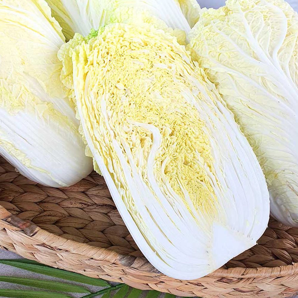 아삭하고 싱싱한 진도 속이 꽉 찬 알배추 3통 (2.5kg 내외)