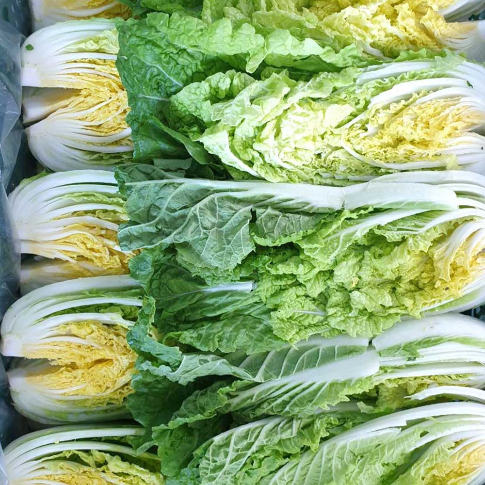 아삭하고 싱싱한 진도 속이 꽉 찬 알배추 3통 (2.5kg 내외)