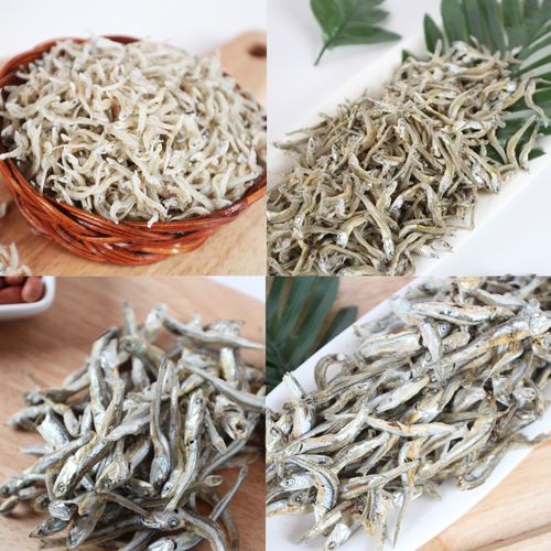 남해안 최상급 햇멸치 1+1 (세멸,소멸,중멸,대멸)