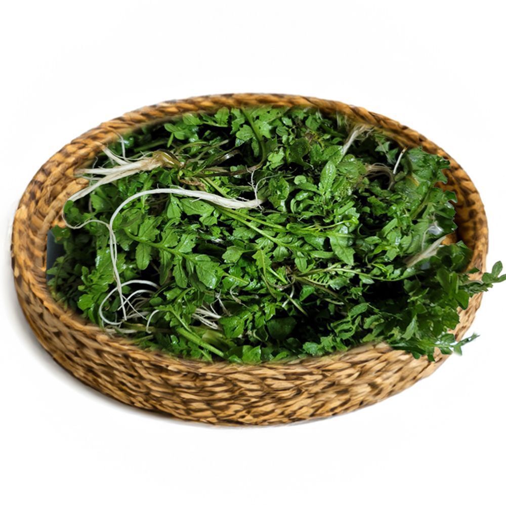[산지직송] 봄철의 기운 듬뿍! '태안 세척 냉이' (1kg)