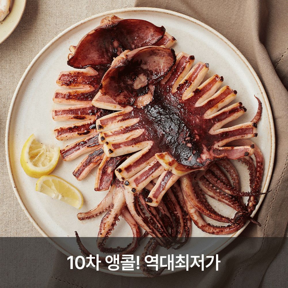 [포항직송] 한입 가득 촉촉한! ‘구룡포 대왕 반건조오징어 (5미)’ 역대 최저가!