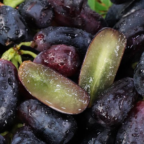 아삭 달콤! 블랙사파이어 포도 800g/1.6kg