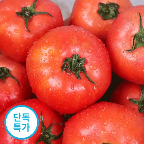 26년 제철 새콤달콤 햇 완숙토마토 2kg 3kg