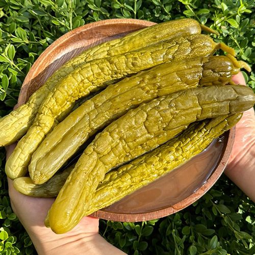 꼬독꼬독한 맛이 일품 여름별미 통오이지 10개 30개