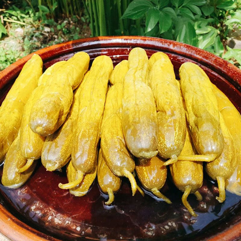 꼬독꼬독한 맛이 일품 여름별미 통오이지 10개 30개
