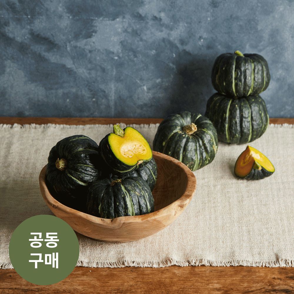 [한정특가] 제주에서 자란 달콤폭닥한 유기농 '밤호박' (3kg)
